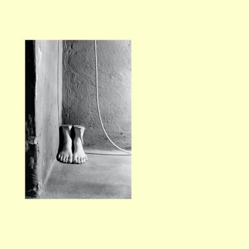 Massimiliano Camellini e Benedetta Incerti: Anatomia della Persistenza